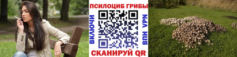 Псилоцибиновые грибы GOLDEN TEACHER  Пугачёв 